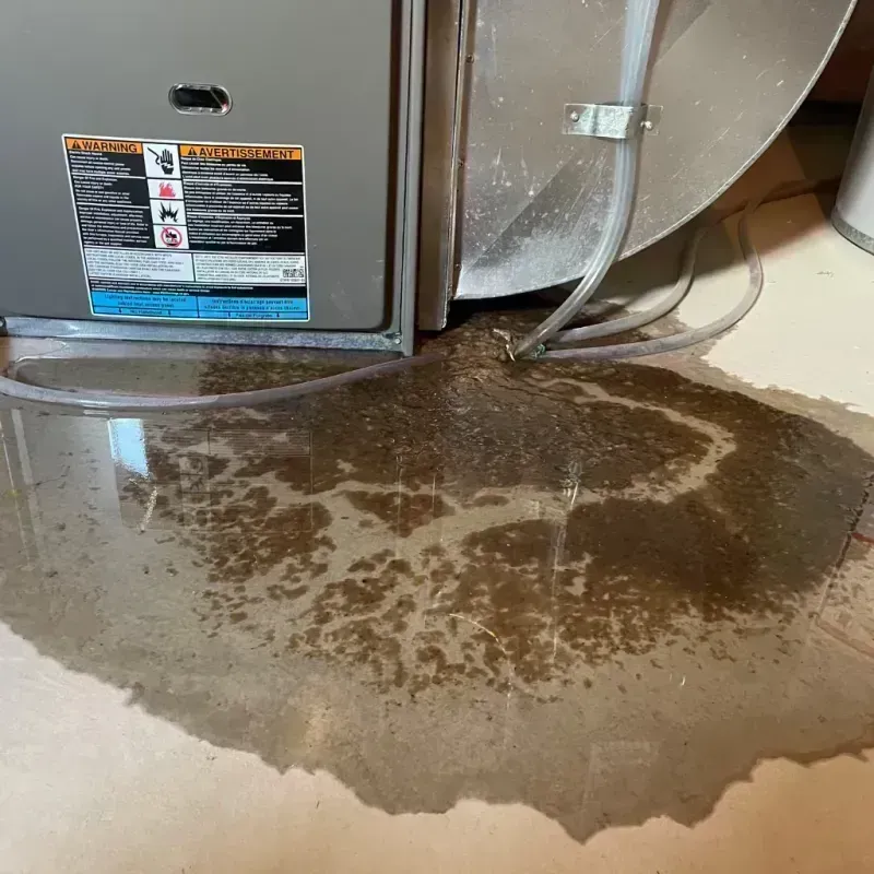 Appliance Leak Cleanup in Weedpatch, CA